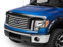 [50191] WeatherTech FORD F-150 Stone &amp; Bug Deflector ( 2009 - 2014 )